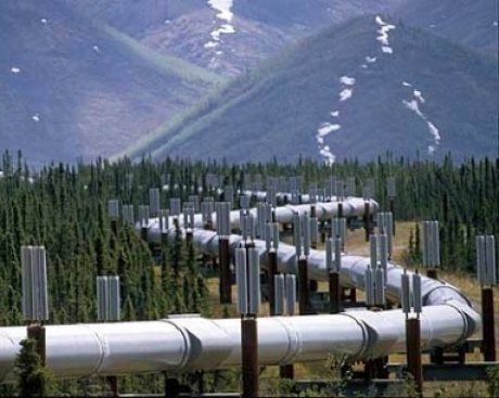 Consiliul European reprezintă un pas înainte în transformarea României în pol energetic regional